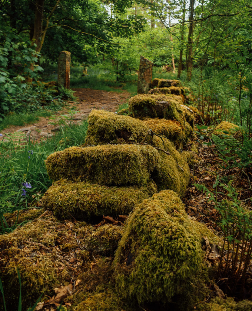 brinscall woods by lancashire lads. naturewithtom