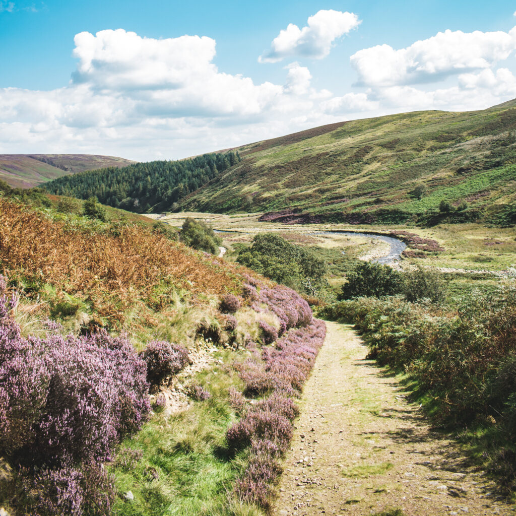 looking back down langden brook valley. walk in forest of bowland. by lancashire lads