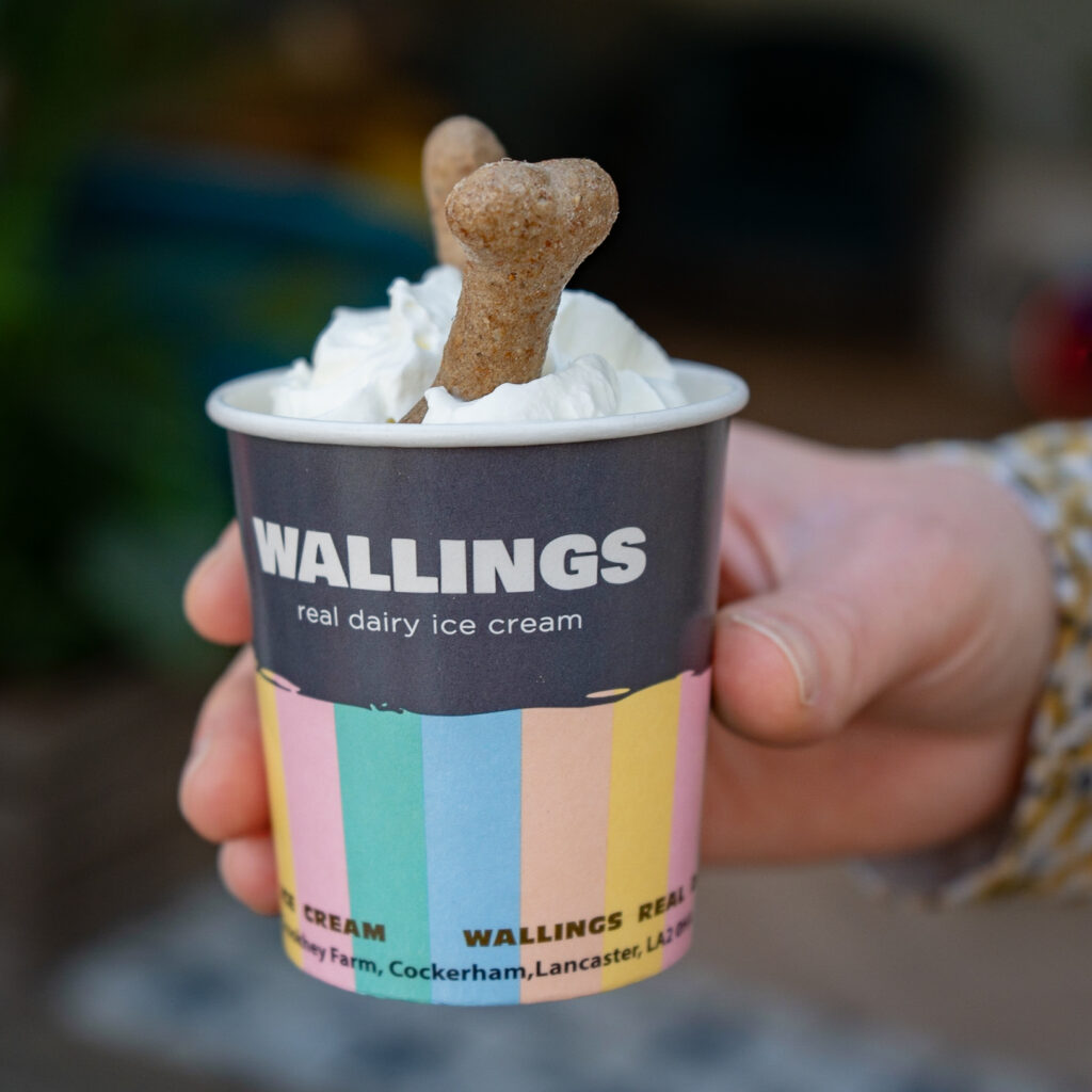 wallings puppychino, ice cream.