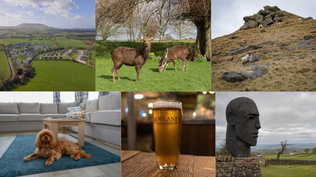 holgates ribble valley. dog friendly holiday home lancashire. things to do ribble valley.